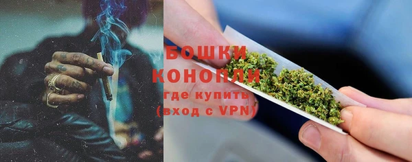 индика Володарск