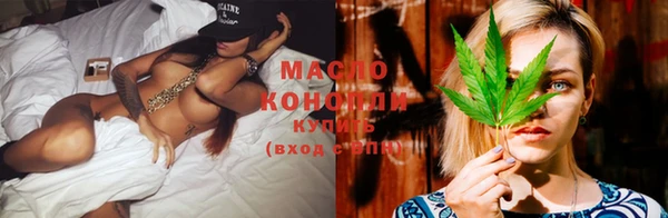 индика Володарск