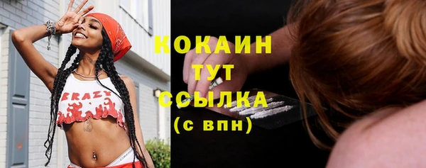 индика Володарск