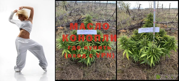 индика Володарск