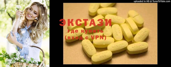 индика Володарск