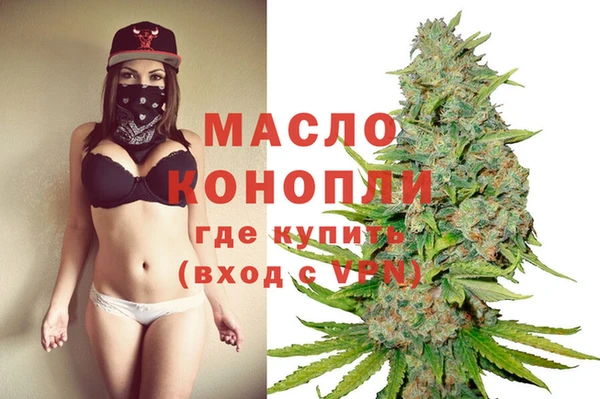 индика Володарск