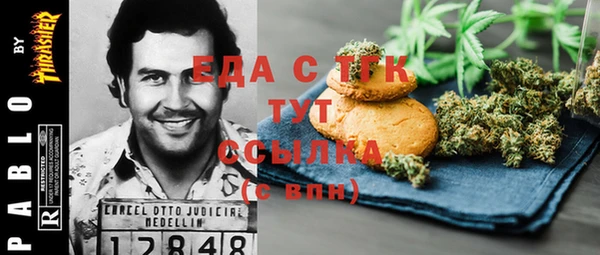 индика Володарск